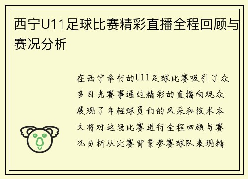 西宁U11足球比赛精彩直播全程回顾与赛况分析